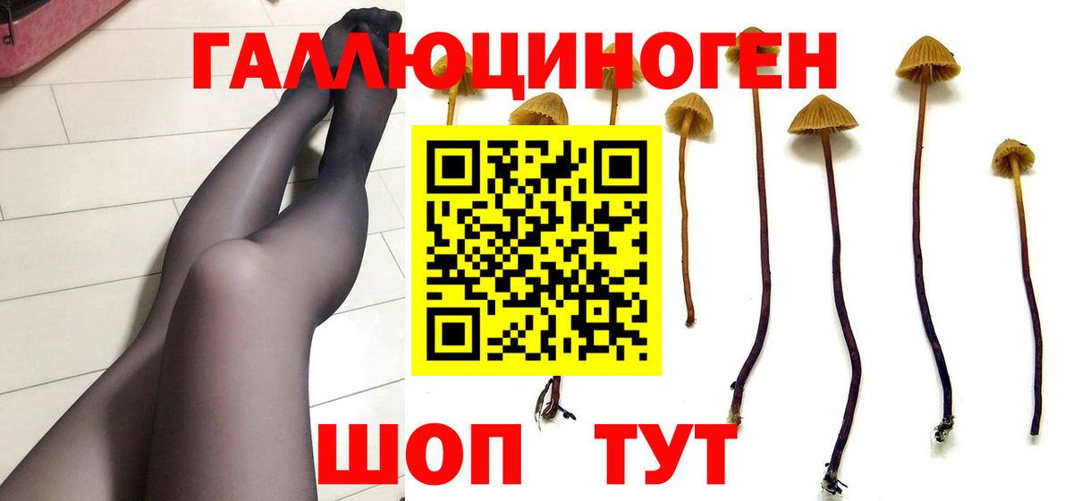 сколько стоит  Псилоцибиновые грибы Cubensis  Вход с VPN  Сергиев Посад 